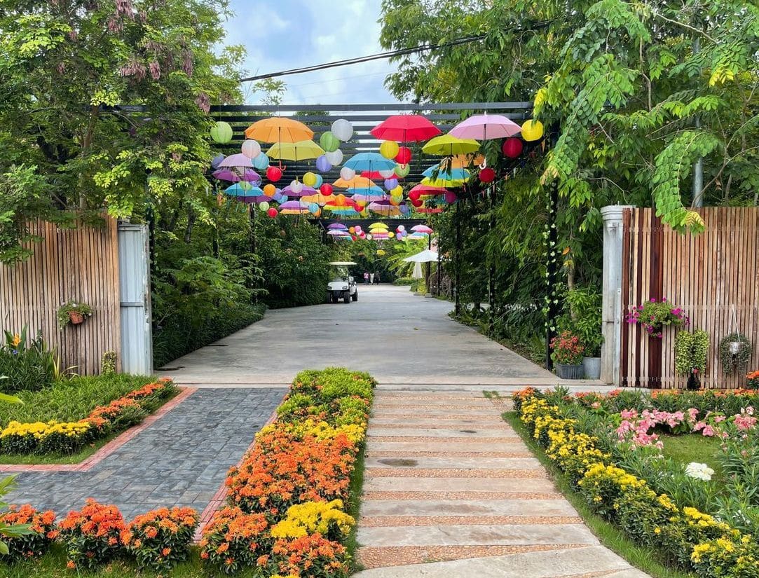 Jardin Équilibre 11