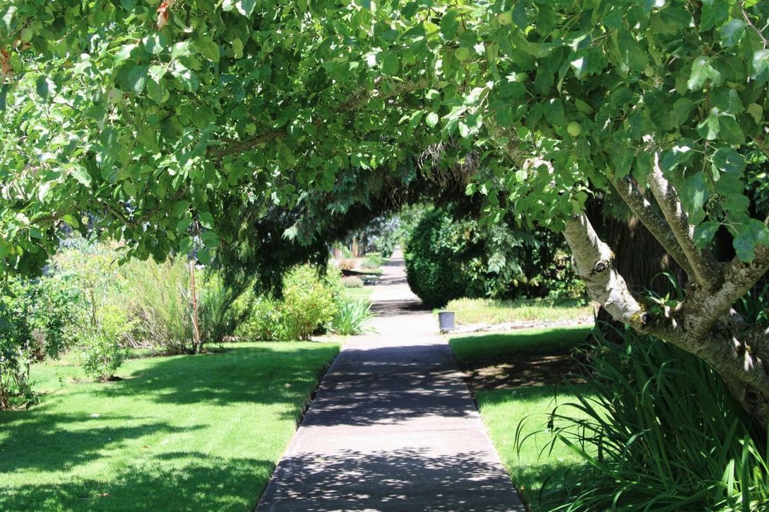 Jardin Équilibre 4