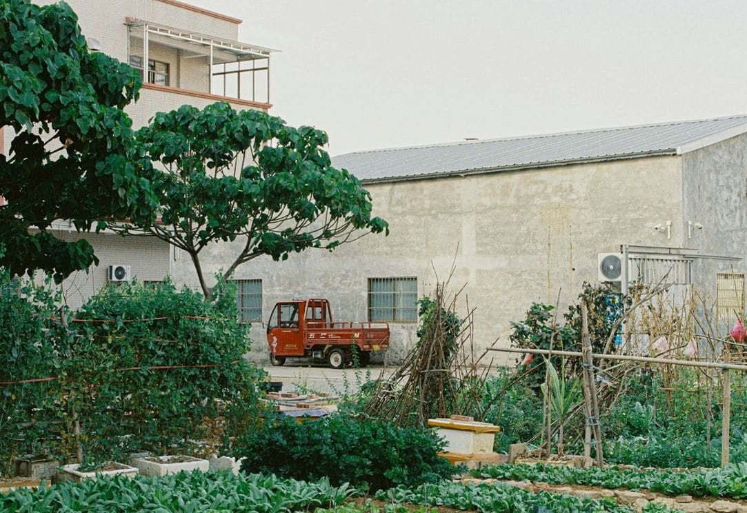 Jardin Équilibre 6